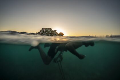 The Associated Press