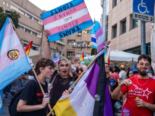 WATCH: Conservative Author Abigail Shrier Rushed by Transgender Activist in Israel - Vimarsana News