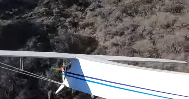 YouTuber Confesses to Intentionally Crashing Plane in Publicity Stunt, Faces Jail Time