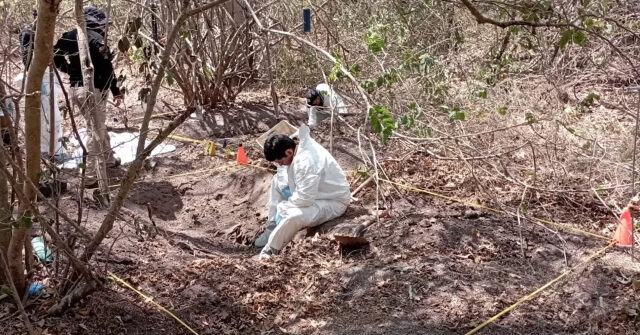 Report: Mexico not Keeping Stats of Cartel Killing Fields, Clandestine Crematoriums