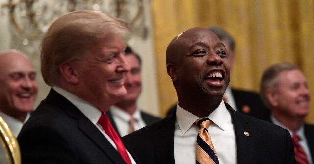 South Carolina Sen. Tim Scott Endorses Trump in Brutal Blow to Nikki Haley