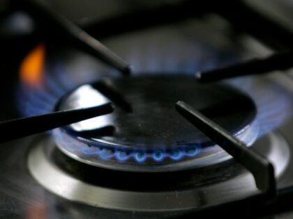 In this Jan. 11, 2006, file photo, a gas-lit flame burns on a natural gas stove. A federal appeals court on Monday, April, 17, 2023, overturned Berkeley, California's first-in-the-nation ban on natural gas in new construction, agreeing with restaurant owners who argued the city bypassed federal energy regulations when it …