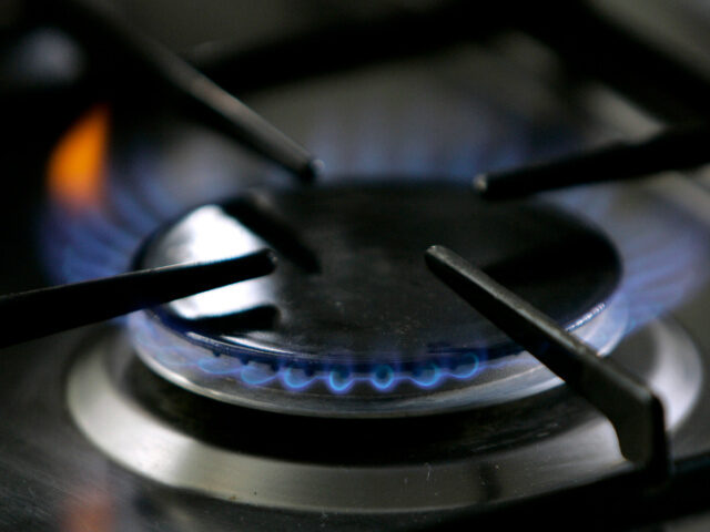 In this Jan. 11, 2006, file photo, a gas-lit flame burns on a natural gas stove. A federal