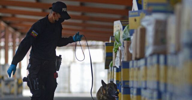 NextImg:Police Dog Sniffs Out Three Tons of Cocaine in Ecuadorian Bananas