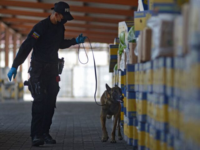 A member of the Port Information Unit of the Anti-Narcotics Police and a dog check banana