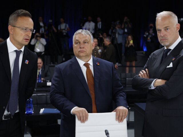 Hungary's President Viktor Orban (C), Hungary's Foreign Minister Peter Szijjarto (L) and Hungary's Defence Minister Kristof Szalay-Bobrovniczky (R) speak ahead of a meeting of The North Atlantic Council during the NATO summit at the Ifema congress centre in Madrid, on June 30, 2022. (Photo by JONATHAN ERNST / POOL / …