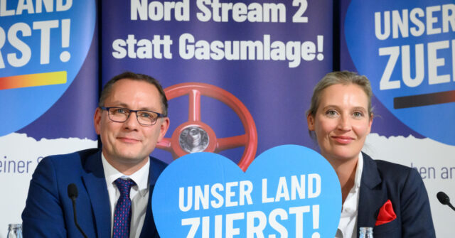 German Populist AFD Party Surges Ahead Of Greens In Support