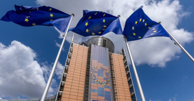 European Commission Orders Staff Not to Use A.I. for ‘Critical’ Work