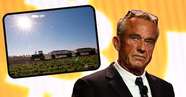 RFK Jr.: Wall Street, China Turning American Farms into 'Corporate Fiefdoms'