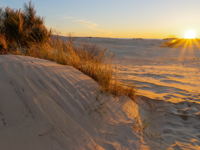 Teen Buried ‘Under Several Feet of Sand’ After Dune Collapse in Outer Banks