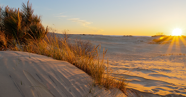 NextImg:Teen Buried 'Under Several Feet of Sand' After Dune Collapse in Outer Banks