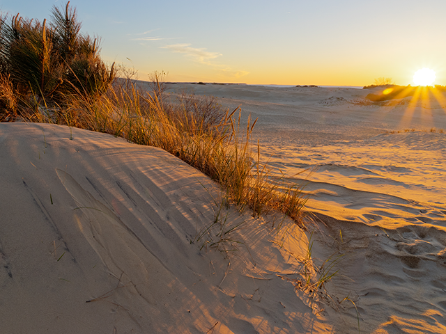 Teen Buried 'Under Several Feet of Sand' After Dune Collapse in Outer Banks - Vimarsana News
