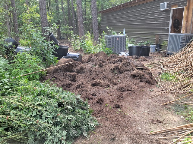 EXCLUSIVE PHOTOS: East Texas Sheriff Raids Pot Grow House near 5x Migrant Murder Scene - Vimarsana News