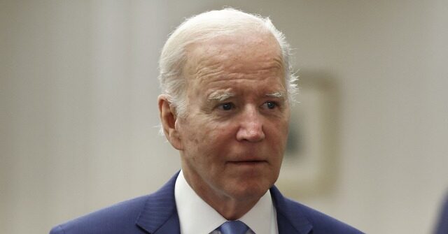 Voters Share Negative Emotions About Biden: 'Panicked, Concern, Worry'