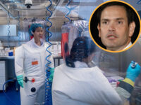 Sen. Rubio Releases Several Hundred Page Report Detailing Origins of COVID, Revealing Details on Wuhan Lab