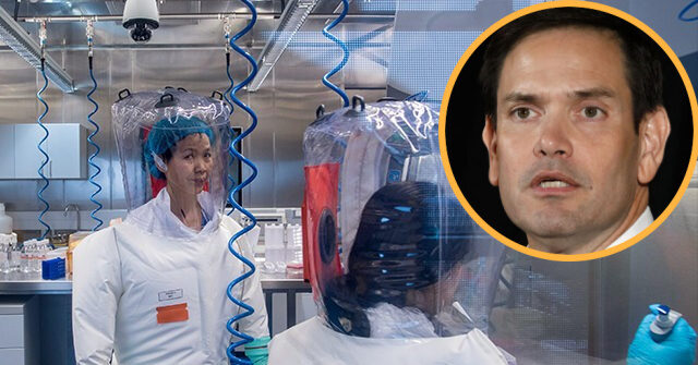 Sen. Rubio Releases Several Hundred Page Report on COVID Origins