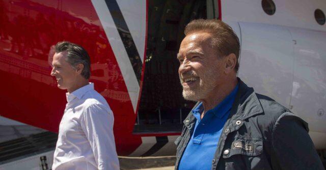 Arnold Schwarzenegger: Gavin Newsom Presidential Run a 'No-brainer'