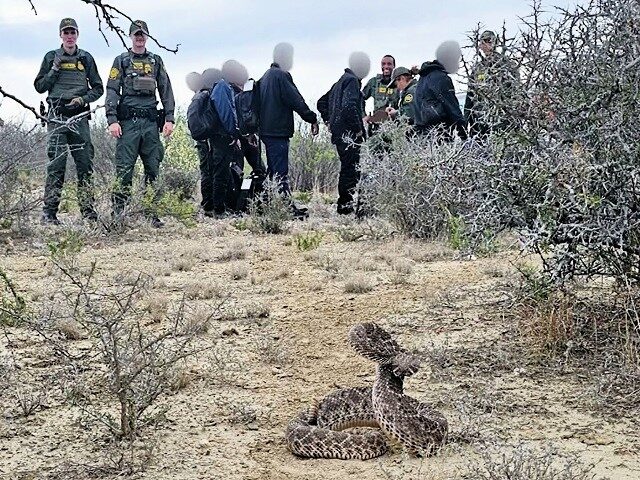 A rattlesnake poses with Border Patrol agents and migrants near the border in Texas. (U.S. Border Patrol/Del Rio Sector)