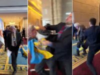 Ukraine Delegate Punches Russian in Face at Turkey Summit
