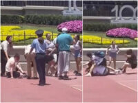 Tragic Kingdom: Brutal Brawl at Disney World Caught On Video