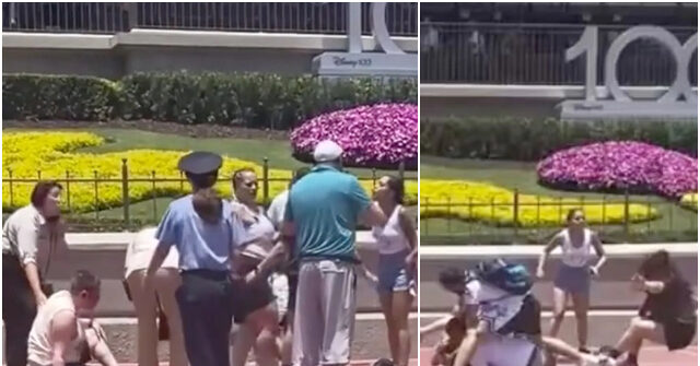 Tragic Kingdom: Brutal Brawl at Disney World Caught On Video