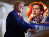 Polls: DeSantis Drops to Third in SC, Trump Leads All Early States
