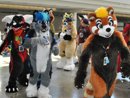 "Anthrocon 2017 is a furry convention which was held June 29th-July 2nd, 2017 at the David L. Lawrence Convention Center in downtown Pittsburgh, PA, USA."