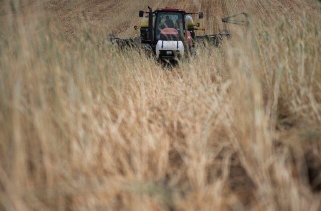 Between a quarter and a third of global greenhouse emissions come from food systems, inclu