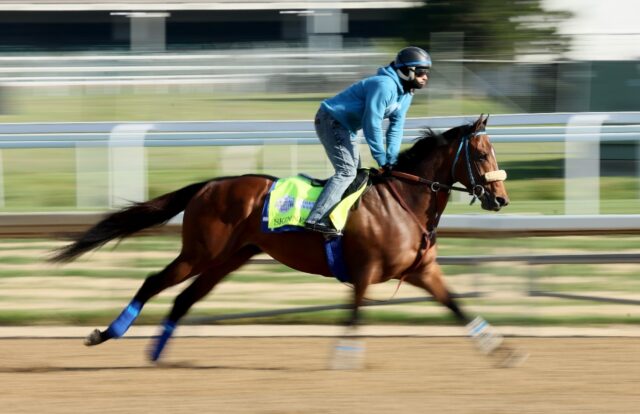 Skinner becomes fourth horse scratched from Kentucky Derby - Breitbart