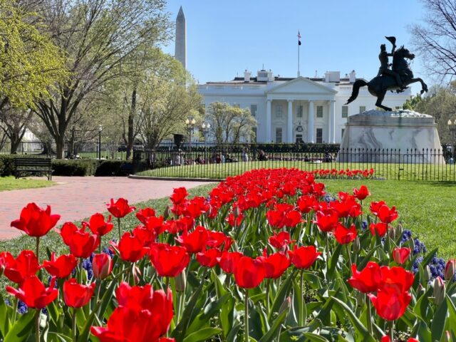 The truck crashed just a few hundred feet (meters) from the White House