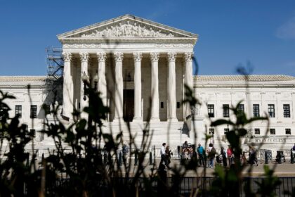 The US Supreme Court is to hear a case that could have far-reaching implications for the r