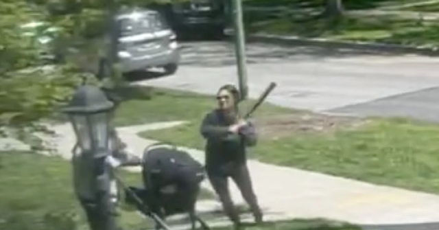 NextImg:Chicago Mother Pushing Baby Stroller Attacked with a Bat