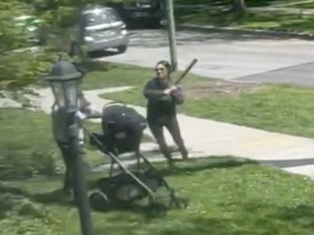 woman attacked mom stroller with bat screenshot