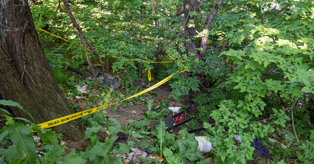 Parents Arrested After 3-Month-Old Girl Found Dead in Bronx Woods