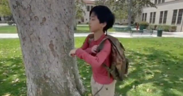 Big Man on Campus: 12-Year-Old Graduates College with Five Degrees
