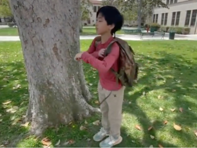 Big Man on Campus: 12-Year-Old Graduates College with Five Degrees - Vimarsana News