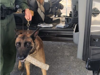 A Border Patrol K-9 finds 192 pounds of fentanyl at the Interstate 8 immigration checkpoint. (U.S. Border Patrol/Yuma Sector)