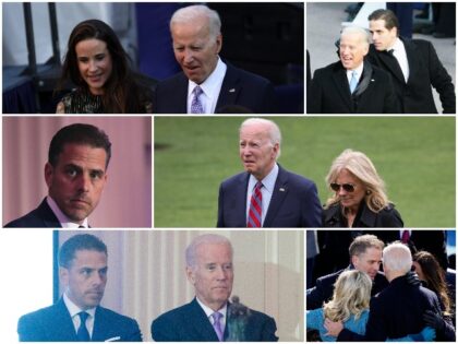 Biden family (Alex Wong, Teresa Kroeger, Win McNamee, Kris Connor, Drew Angerer/Getty Images)