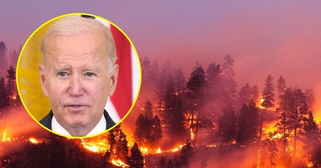 Joe Biden Threatened Brazil over Forest Fires. Why Not Canada?