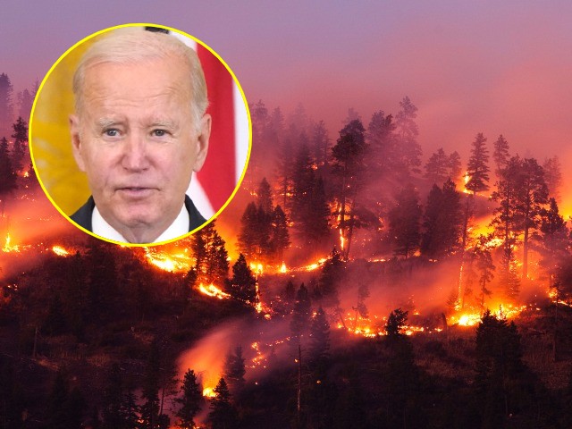Joe Biden Threatened Brazil over Forest Fires. Why Not Canada? - Vimarsana News