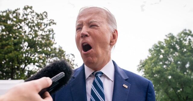 Joe Biden Again Denies Lying About Involvement in Family Business