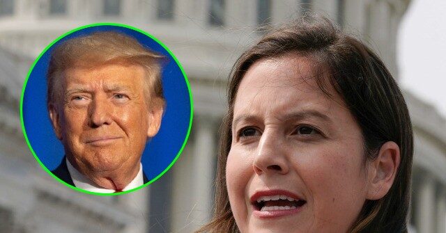 Exclusive — Elise Stefanik: Polling Shows It's Time to Unite Behind Trump