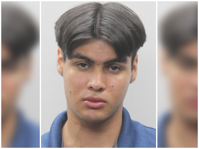 Illegal Alien, Protected by Sanctuary City, Accused of Trying to Kidnap Toddler - Vimarsana News