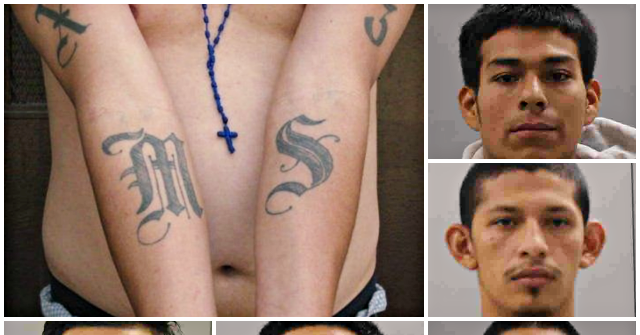 MS-13 Gang Members, Freed into U.S. by Feds, Among Illegals Charged with 15-Year-Old Boy's Murder