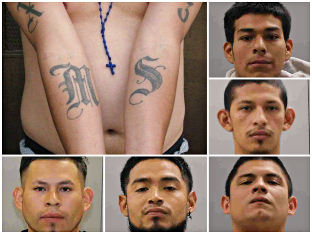 MS-13 Gang Members, Released into U.S. by Feds, Among Illegal Aliens Charged with 15-Year-Old Boy’s Murder
