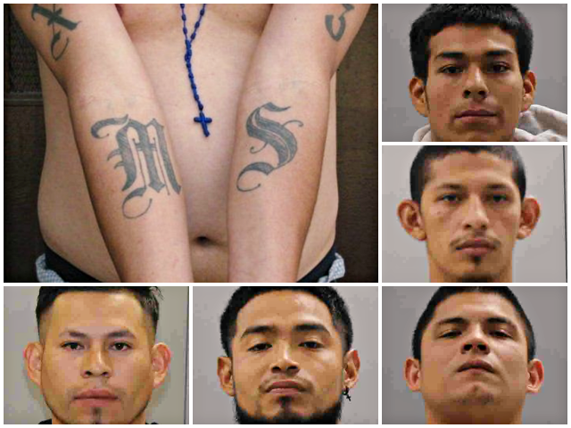 MS-13 Gang Members, Freed into U.S. by Feds, Among Illegals Charged with 15-Year-Old Boy's Murder - Vimarsana News