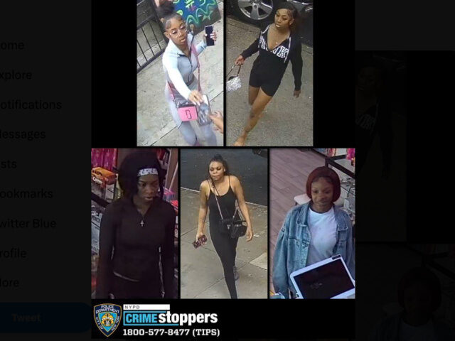 Five women were allegedly involved in a string of robberies in which they targeted several