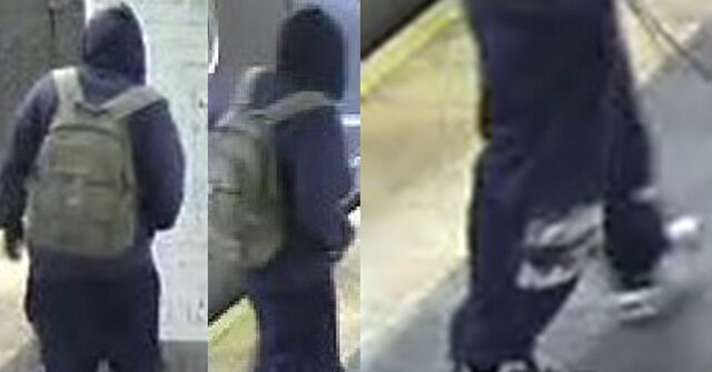 Woman Allegedly Fought Off Attempted Rapist Aboard a NYC Subway Train