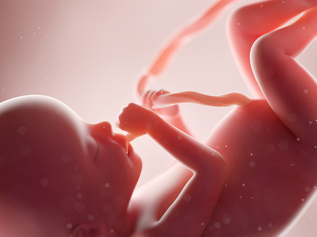 Maine Dems Kill Amendment to Ban Trafficking of Aborted Baby Remains - Vimarsana News