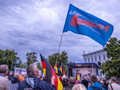 10 August 2021, Mecklenburg-Western Pomerania, Schwerin: A supporter of the AfD holds a FAhne of the party in front of the stage at the start of the election campaign tour of the AfD. The AfD is campaigning with the slogan "Germany. But normal." into the election campaign. Photo: Jens Büttner/dpa-Zentralbild/dpa …